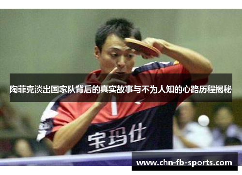 陶菲克淡出国家队背后的真实故事与不为人知的心路历程揭秘