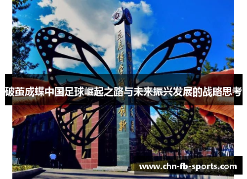 破茧成蝶中国足球崛起之路与未来振兴发展的战略思考