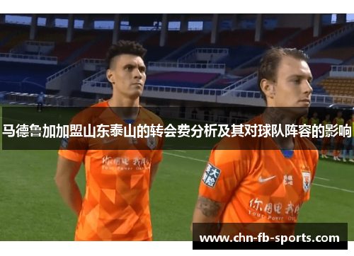 马德鲁加加盟山东泰山的转会费分析及其对球队阵容的影响