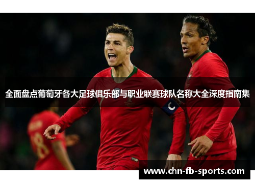 全面盘点葡萄牙各大足球俱乐部与职业联赛球队名称大全深度指南集