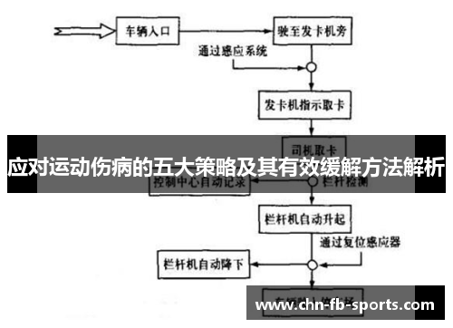 应对运动伤病的五大策略及其有效缓解方法解析
