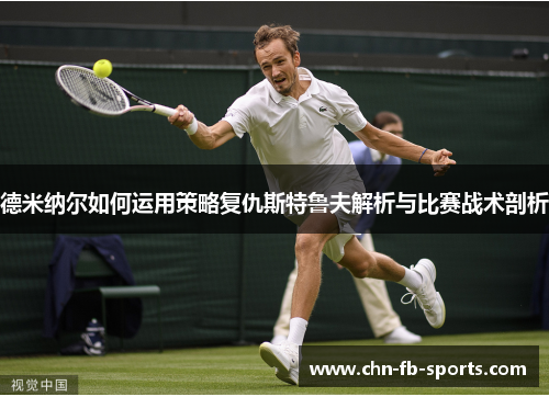 德米纳尔如何运用策略复仇斯特鲁夫解析与比赛战术剖析